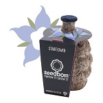 seedbom 'Starflower',
bernagie, 
komkommerkruid